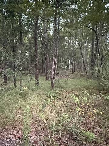 1st image of 0 Highway 43