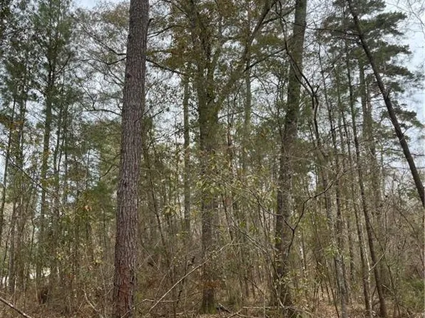 Highway #1036, Holden, LA 70744