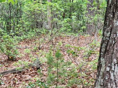 Tbd Sampson Rd, Lenoir, NC, 28645