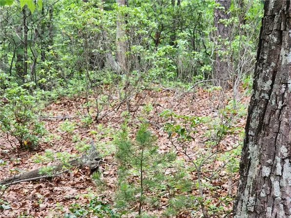 Tbd Sampson Rd, Lenoir, NC 28645