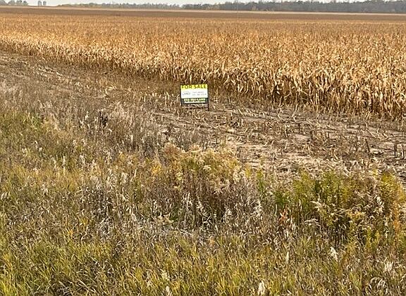 Crop Land:  Todd Co:  looking NE'ly
