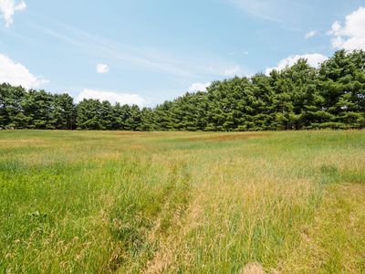 18250 Bush Rd, Chelsea, MI, 48118