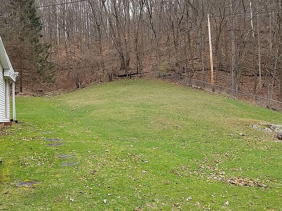 Large yard goes into woods.