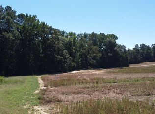 0 Old Stapleton Rd, Stapleton, GA 30823