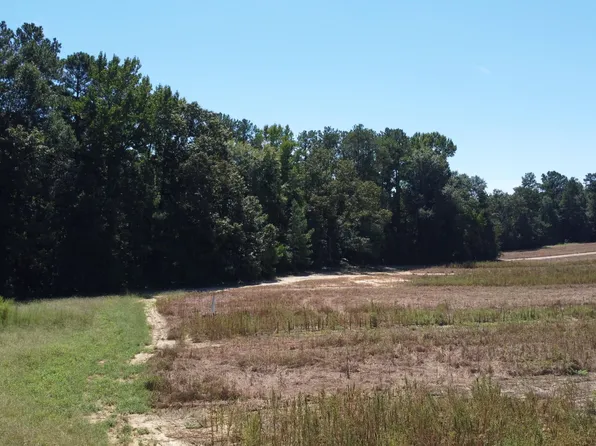 0 OLD STAPLETON Road, Stapleton, GA 30823