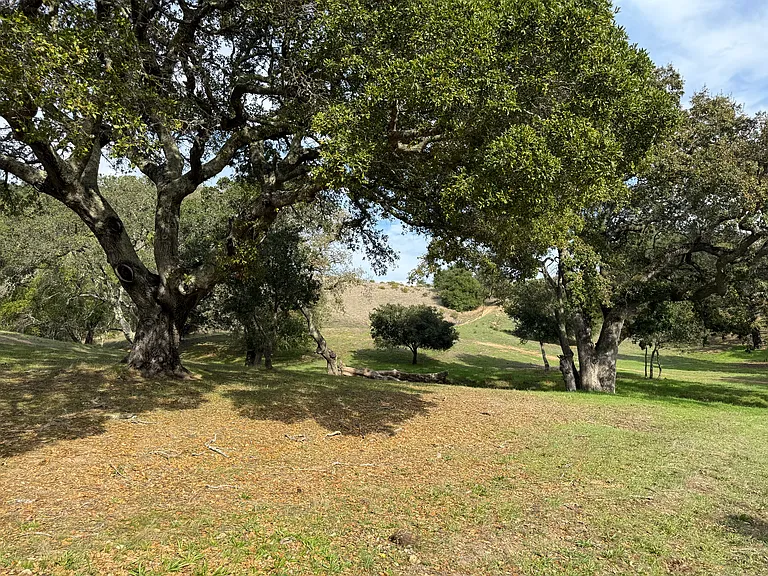 840 Idylberry Rd — Photo 12