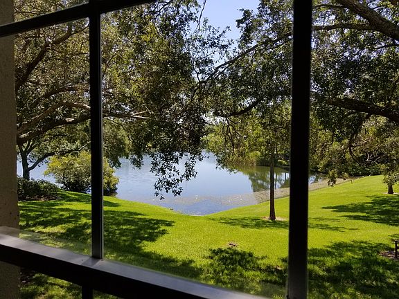 view from kitchen