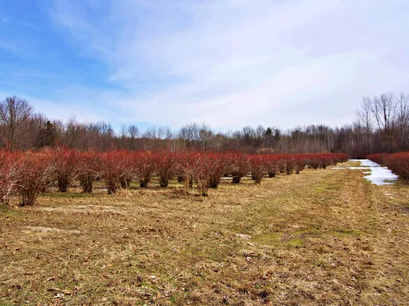 40439 M 140 Hwy, Covert, MI 49043