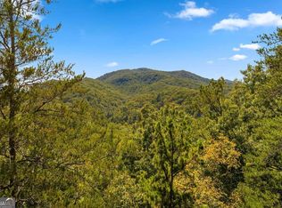 Martin Xing, Cherry Log, GA 30522