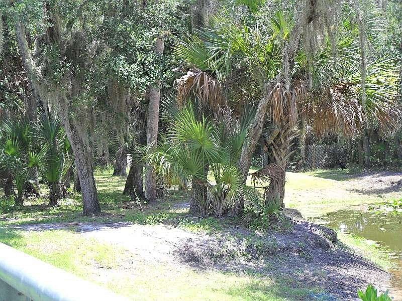 1st image of 10400 Saddle Bow Ln