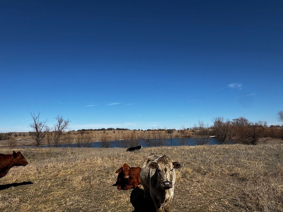 1st image of 0 County Road 4522