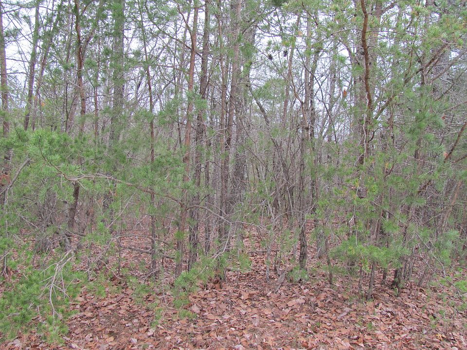 1st image of 21 Bent Oak Ln
