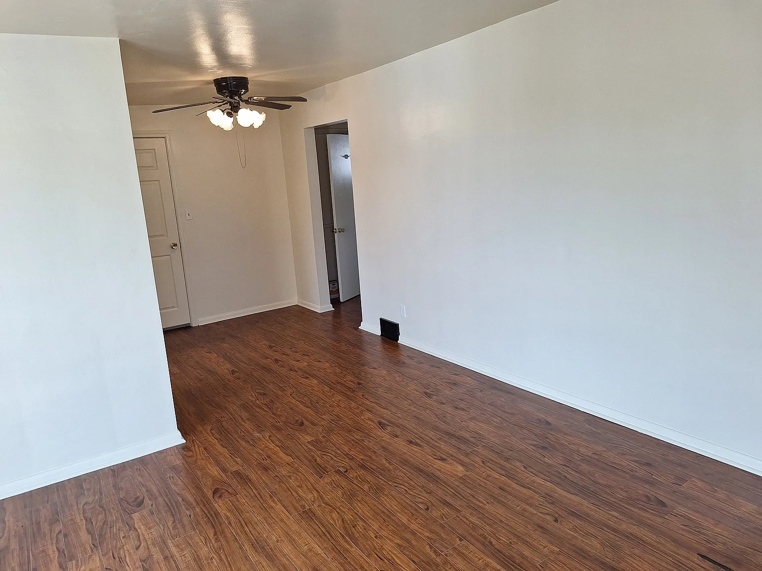 1 bed, $750 — Photo 3