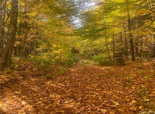 Black River Rd, Ironwood, MI 49938