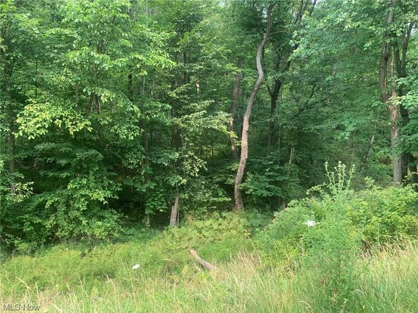 47752 Chippewa Trl, Negley, OH 44441