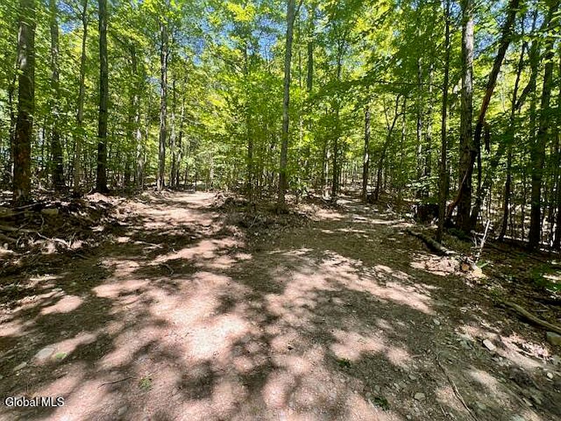 5th image of L7.41 Summit Lake Road
