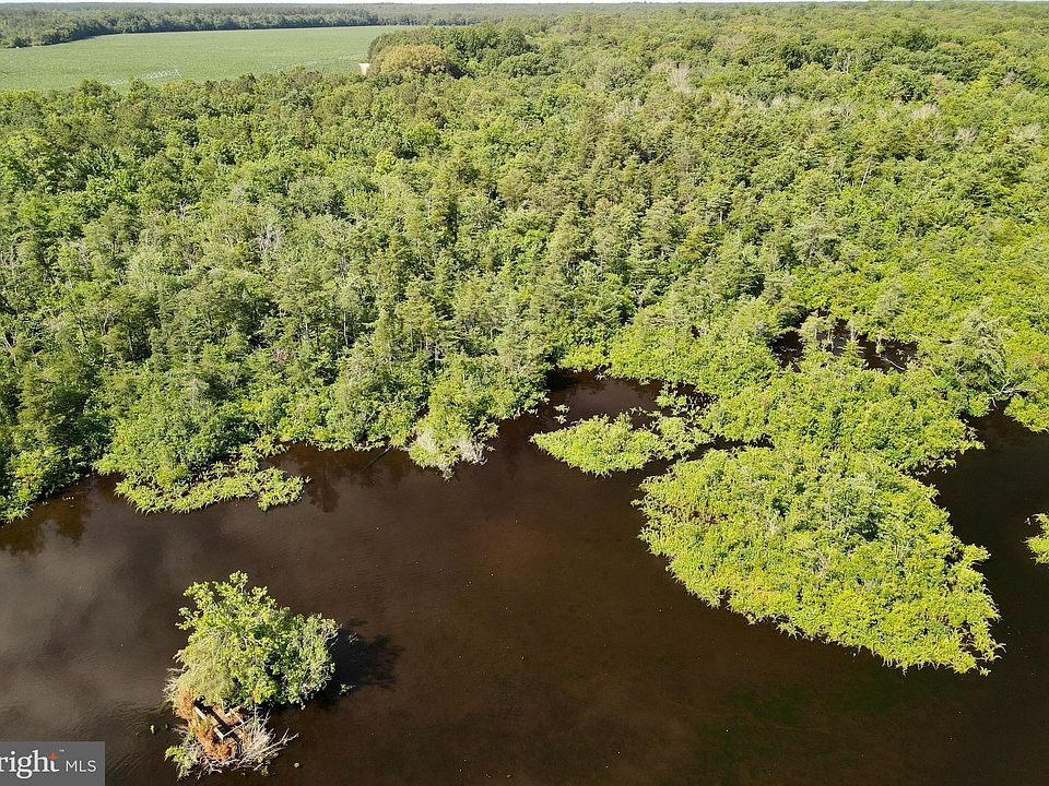 PARCEL 10.02 Reynolds Pond Rd, Ellendale, DE 19941 MLS DESU2036154