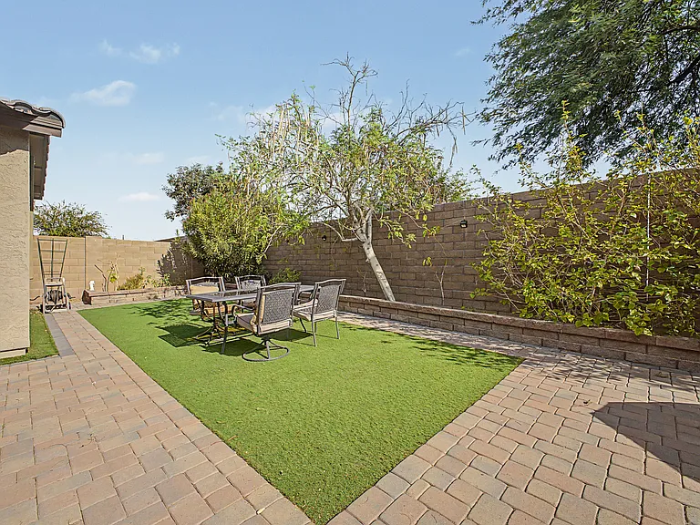 Back Yard