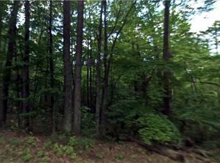 Galts Mill Rd, Madison Heights, VA 24572