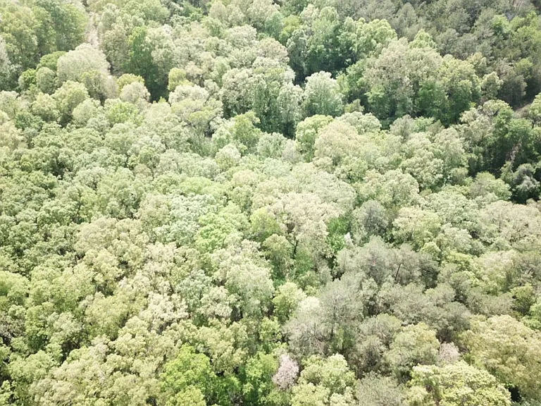 496 Gin Pond Dr — Photo 12