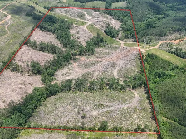 Clifty Rd, Hamilton, AL 35570