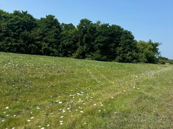 11 Lauren Ln, Dryden, MI 48428