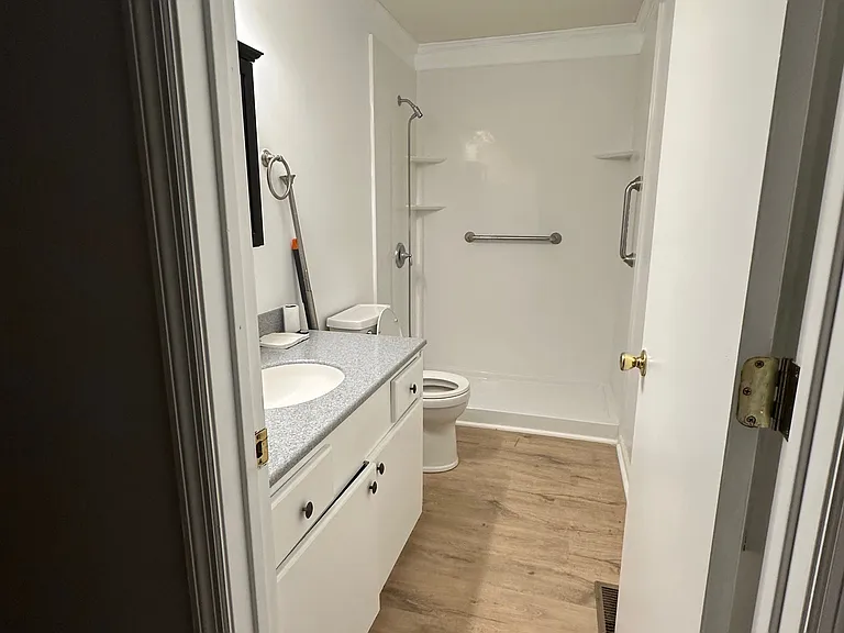 Primary Bath / walk in shower with grab rails