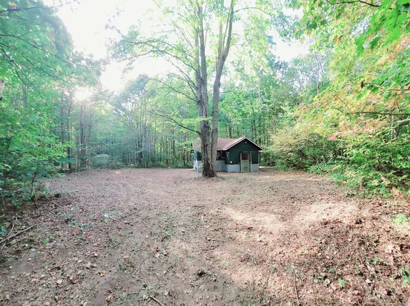 7528 Old Stump Rd NE, Gaylord, MI 49735