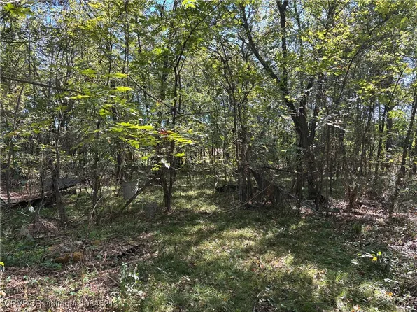 5319 Bach Rd, Ratcliff, AR 72951