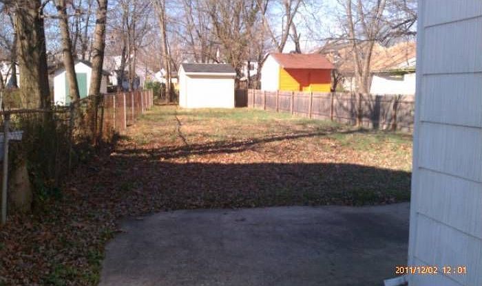 Backyard