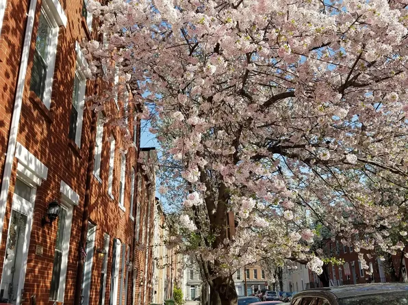 1102 Battery Ave, Baltimore, MD 21230
