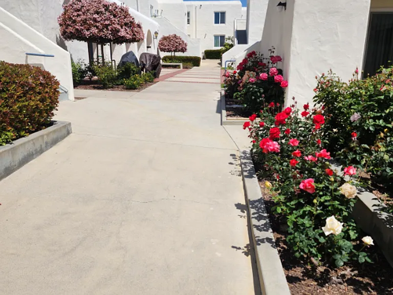 Cardiff By The Sea Senior Apartments — Photo 3