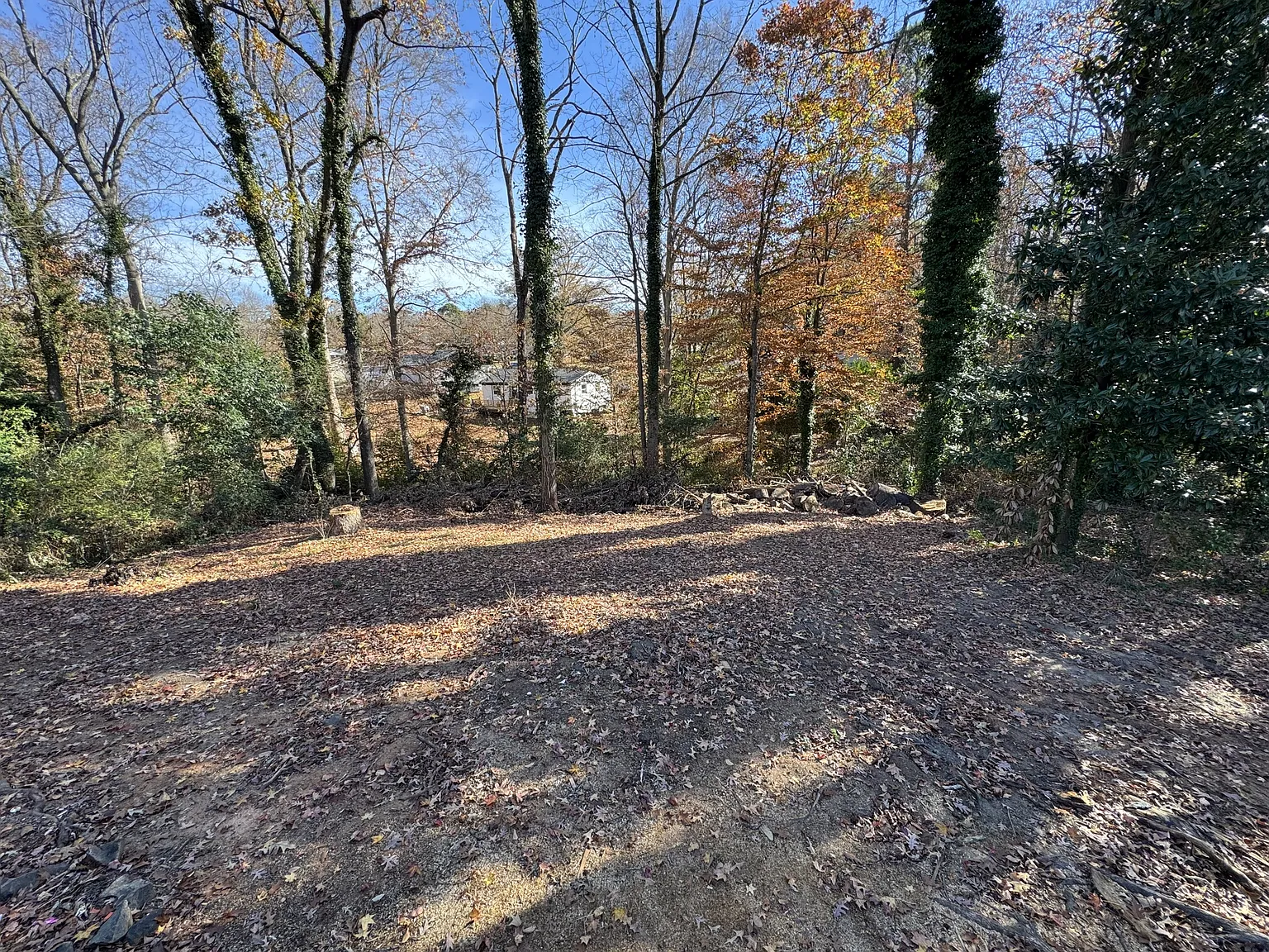 1115 Grovewood Drive - 1 — Photo 4
