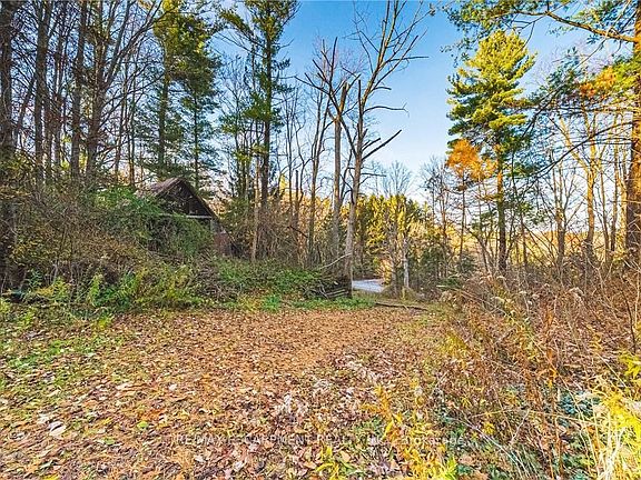 4th image of 1296 Mineral Springs Rd