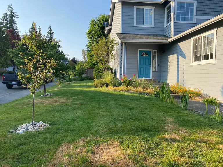 Front yard