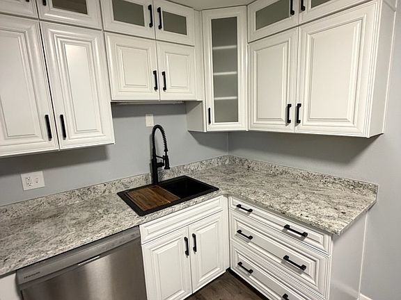 New sink, Kohler custom faucet, new stainless steel dishwasher.