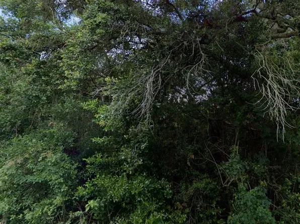 3288/3302 E Alisa Ln Lot 1, Inverness, FL 34453