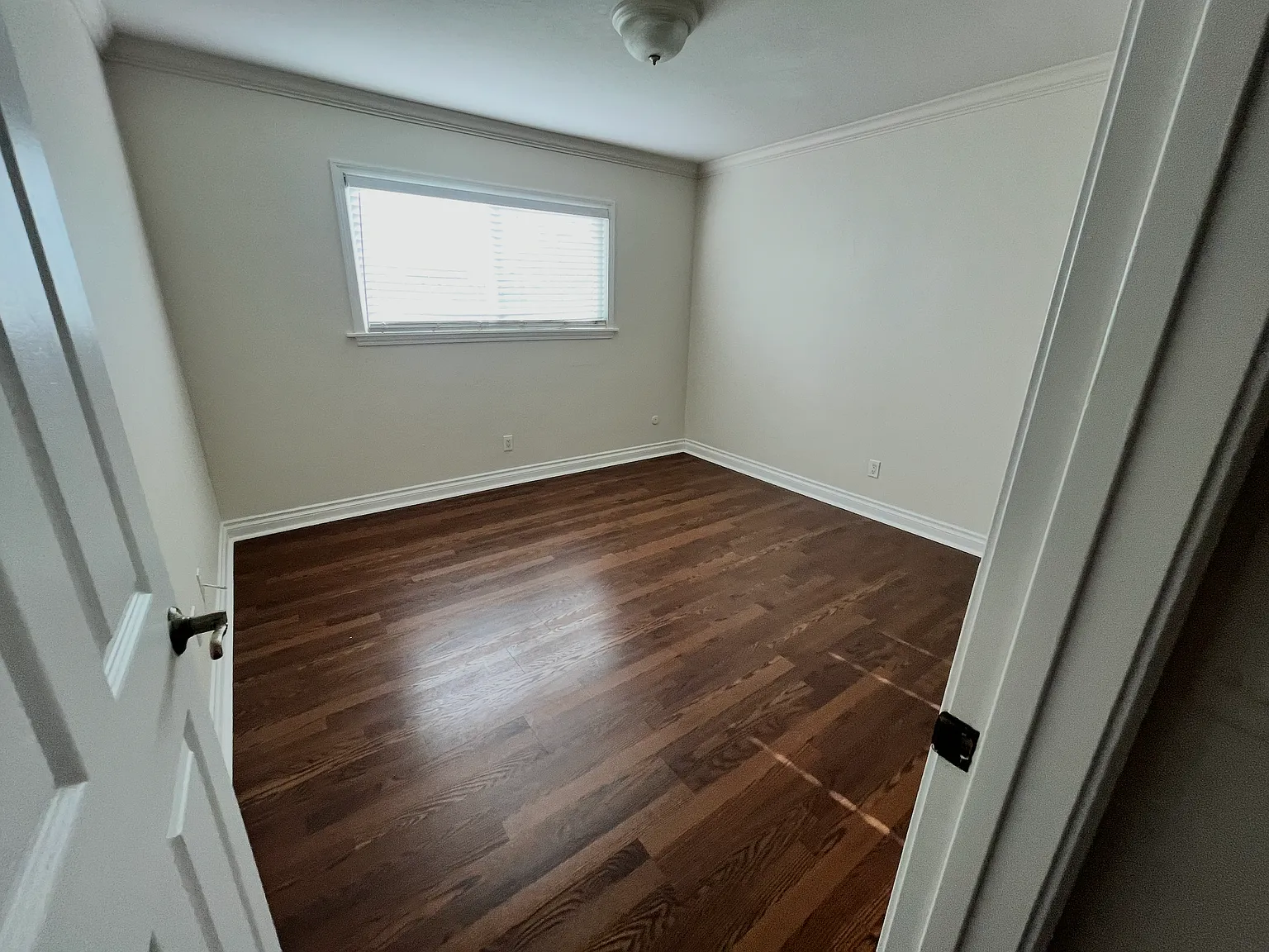 234 Daisy Ave — Photo 3