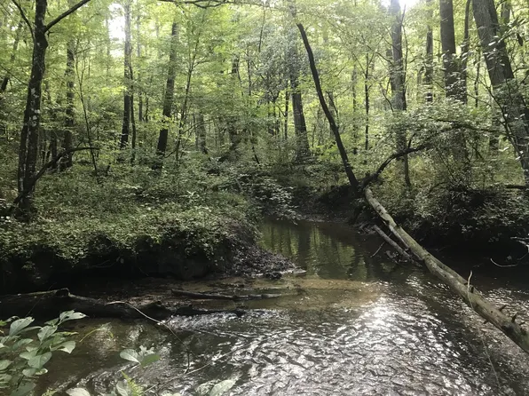 0 Ducktown Cir, Palmer, TN 37365