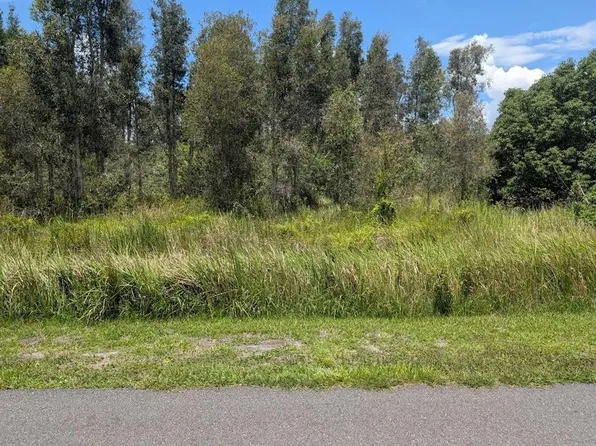 Arborea Dr N Lot 35, Indian Lake Estates, FL 33855