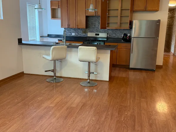 3538 S King Dr #3S, Chicago, IL 60653