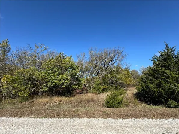 41 & 45 Illinois Dr, Lacygne, KS 66040
