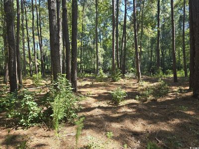TBD Allen Dew Rd., Conway, SC, 29527