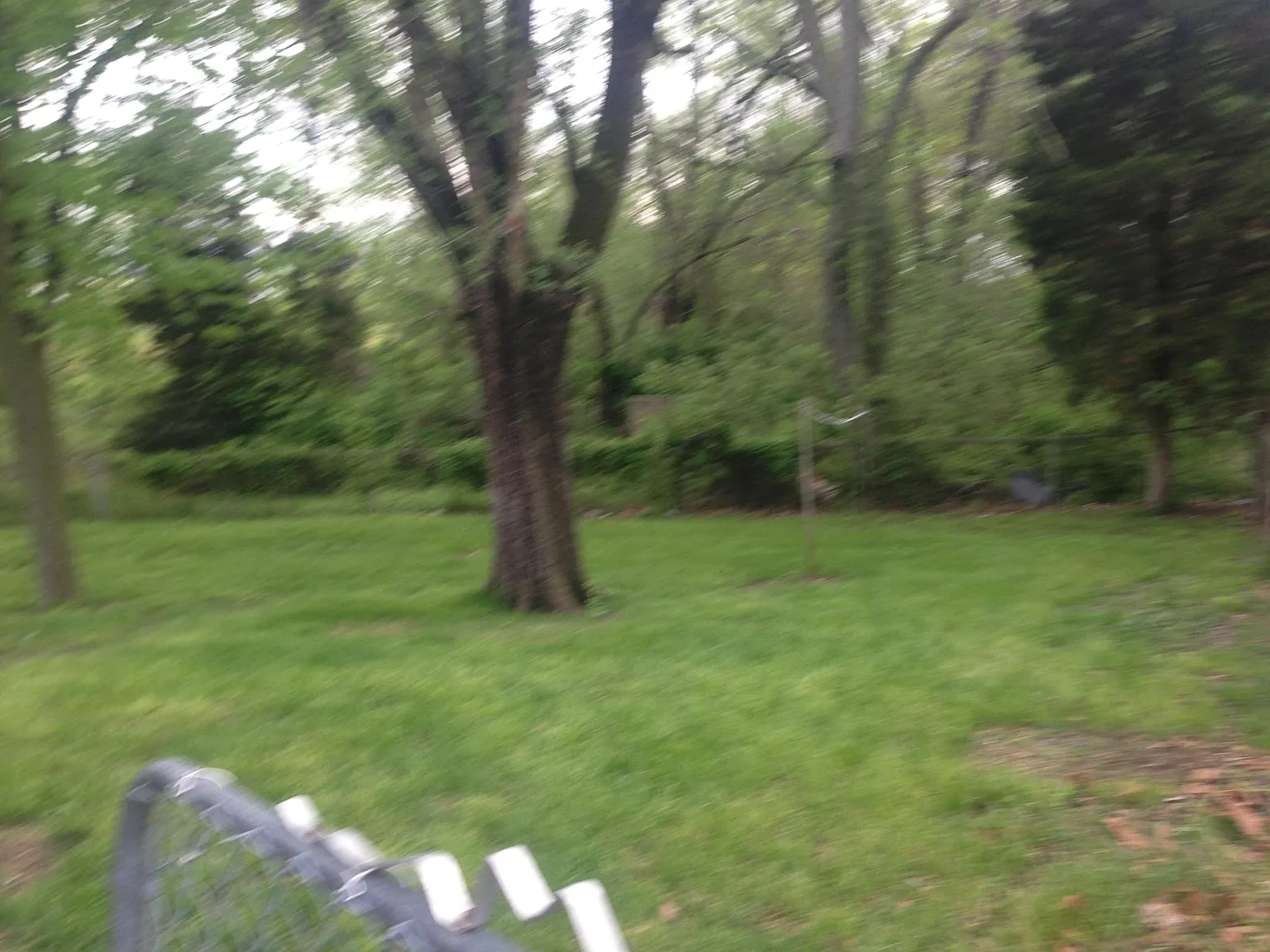 3 bed, 1.5 bath, 1050 sqft, $1,280 — Photo 4