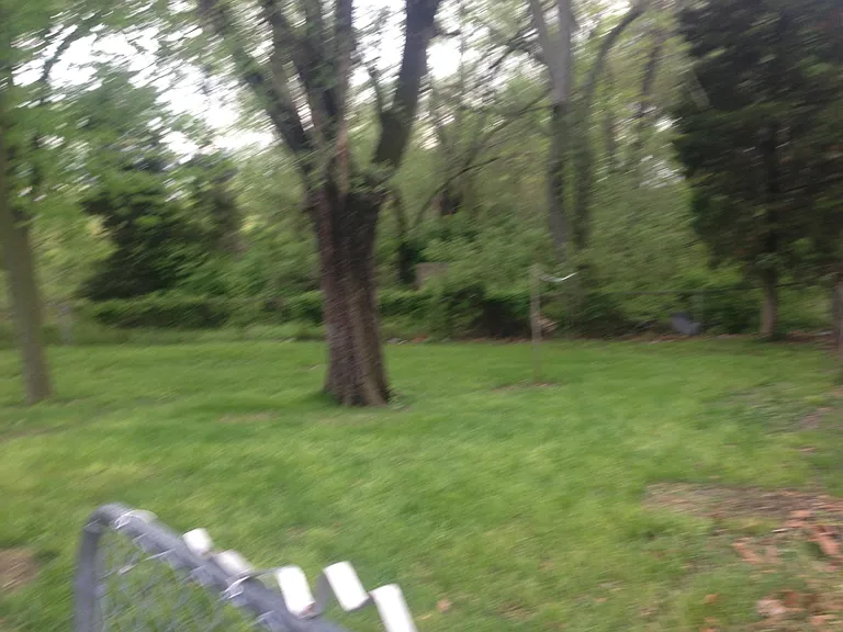 11205 Old Halls Ferry Rd — Photo 4