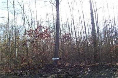 1st image of 20605 Blue Fox Way #37