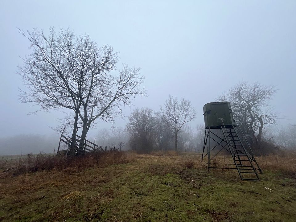 1st image of 33757 S Davis Rd