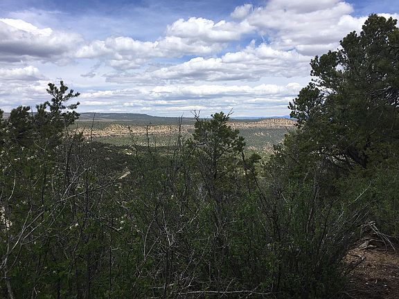 3rd image of 11 Woodlands At La Sal