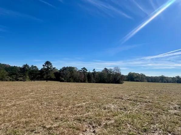 0 Ginn Rd, Tylertown, MS 39667