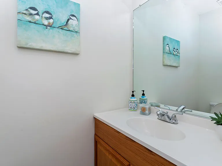 3612 Smokey Chamber Dr — Photo 9
